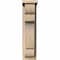 Ekena Millwork New Brighton Smooth Corbel w/Backplate, Douglas Fir, 5 1/2"W x 10"D x 22"H COR06X10X22NEB01SDF - alternate 4